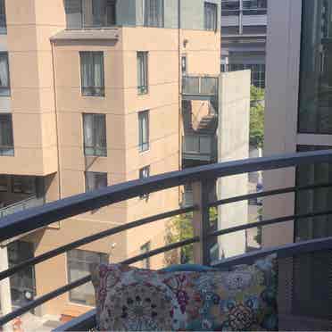 Respectful Mission Bay roomie only!