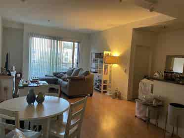 Respectful Mission Bay roomie only!