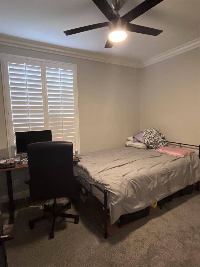 Roommate wanted for b in Palms!