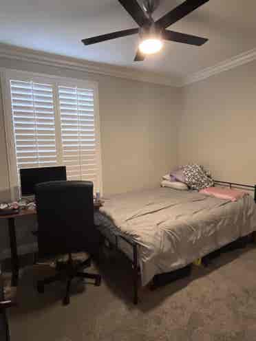 Roommate wanted for b in Palms!