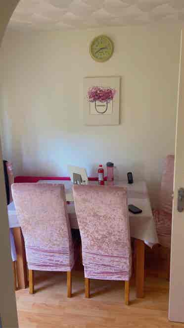 room available for single female