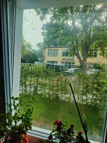 2 Room Apartment Spandau
