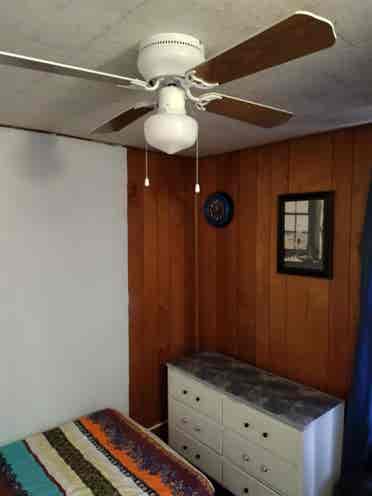 roommate need asap