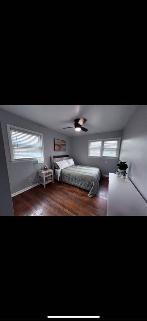 Looking for one female JMU student