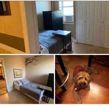 Room in the Bronx near transit