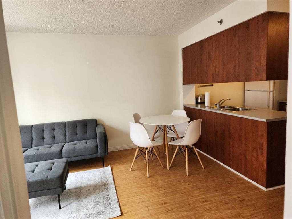 Furnished Condo - 1 Bedroom