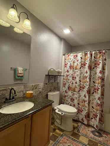 Two Furnished Rooms For One Tenant.