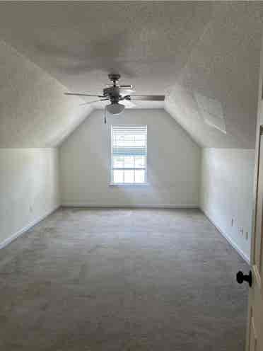 Looking for roomate