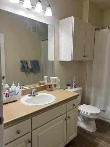 SUMMER sublease: Private bedroom