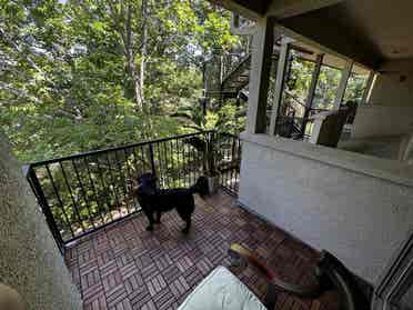 Room/Bath in Gated Community