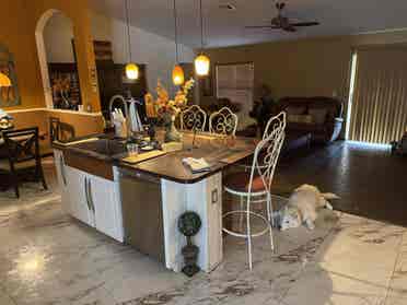 New Listing