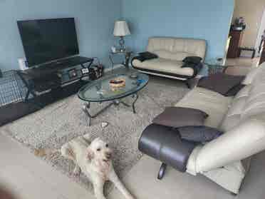 Looking for roommate