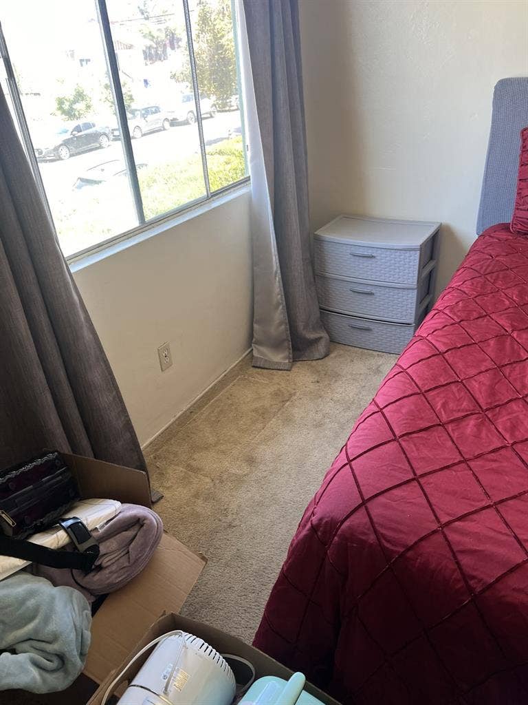 Looking for a roommate soon