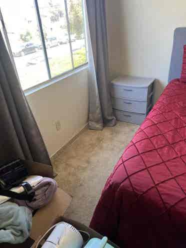 Looking for a roommate soon