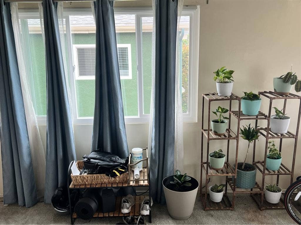 Looking for a roommate soon
