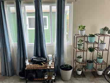 Looking for a roommate soon