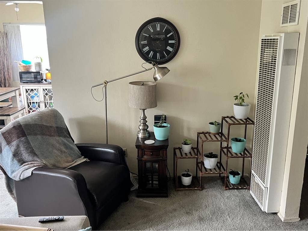 Looking for a roommate soon