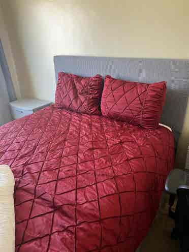 Looking for a roommate soon