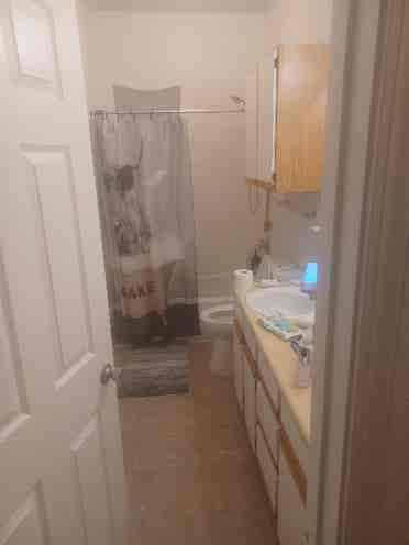 2 br Townhouse, need roommate