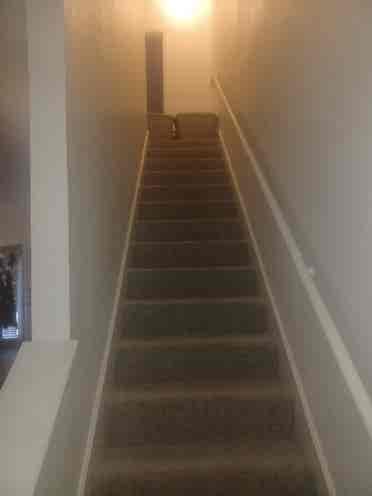 2 br Townhouse, need roommate