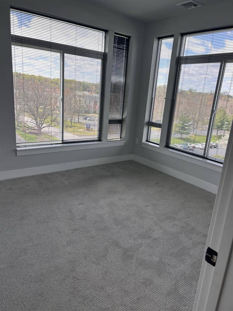Beckon Collective Roommate Needed