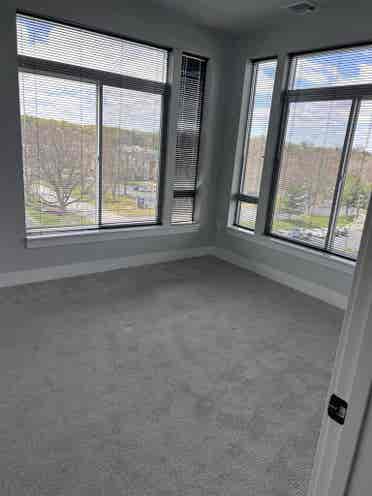 Beckon Collective Roommate Needed