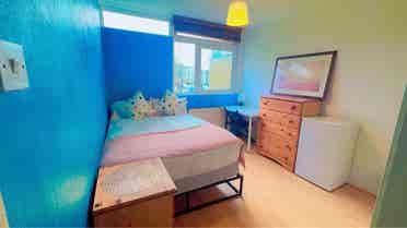 Room for Rent