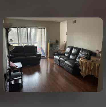 Trustworthy Female Roomie Wanted!