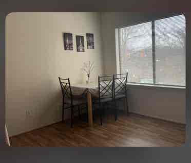 Trustworthy Female Roomie Wanted!