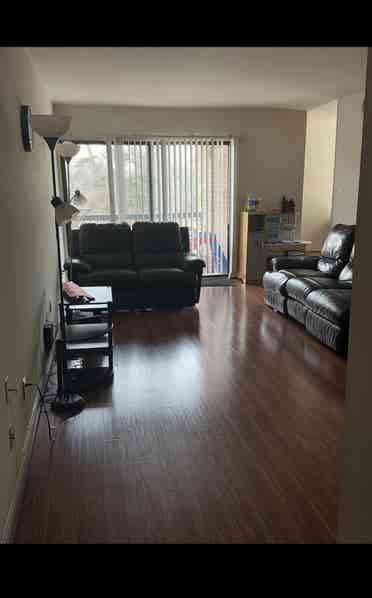 Trustworthy Female Roomie Wanted!