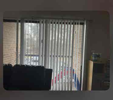 Trustworthy Female Roomie Wanted!
