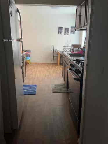 Trustworthy Female Roomie Wanted!