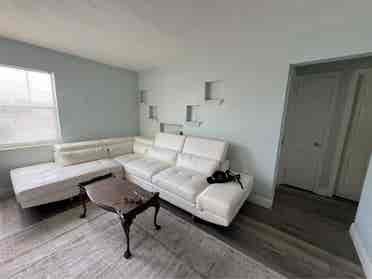 Private Room for rent Clearwater
