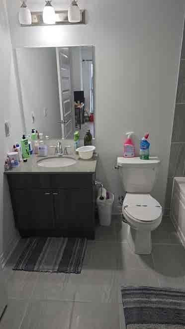 2 Bedroom plus Den Condo Milton