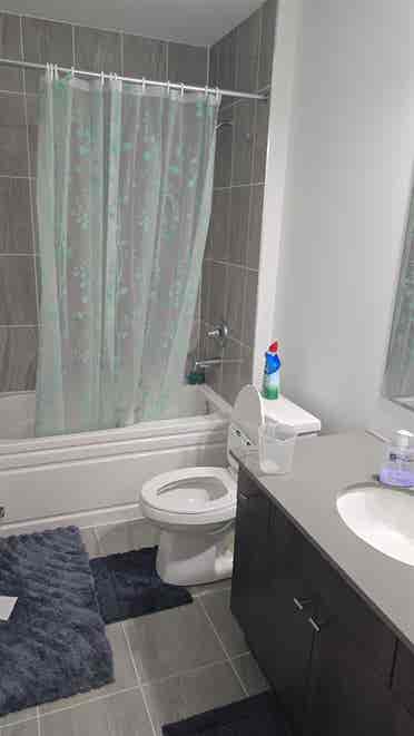 2 Bedroom plus Den Condo Milton