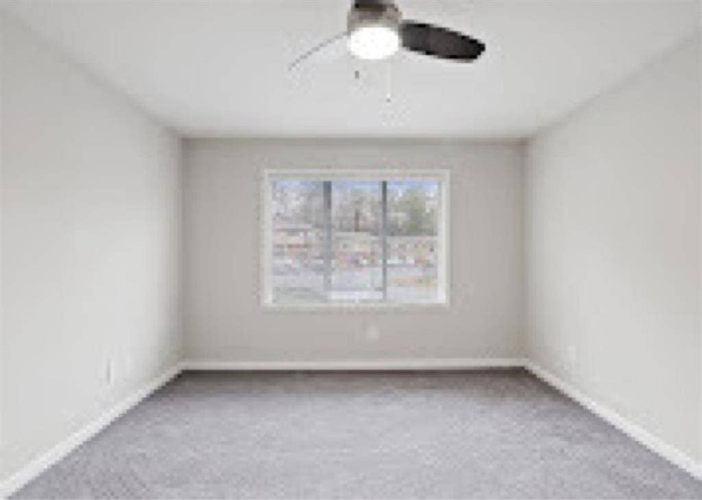 Nice Size Room Available!!!