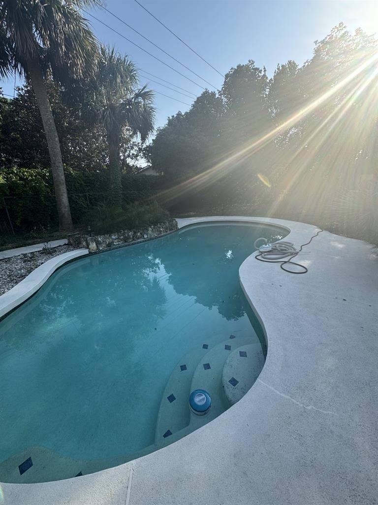 Room for Rent in Fern Park