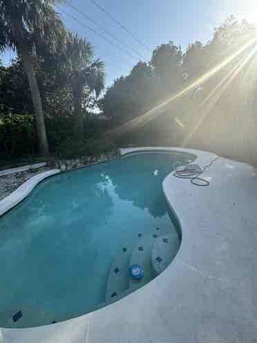 Room for Rent in Fern Park