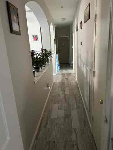 PVT EXCELLENT ROOM AVAILABE MAY/