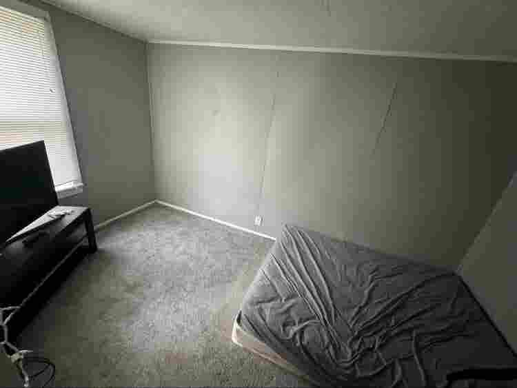 Roommate Needed