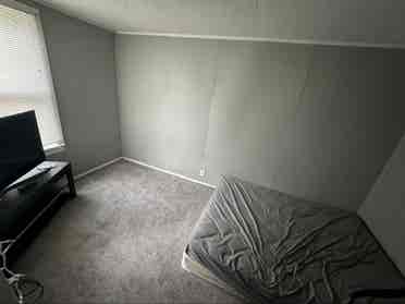 Roommate Needed