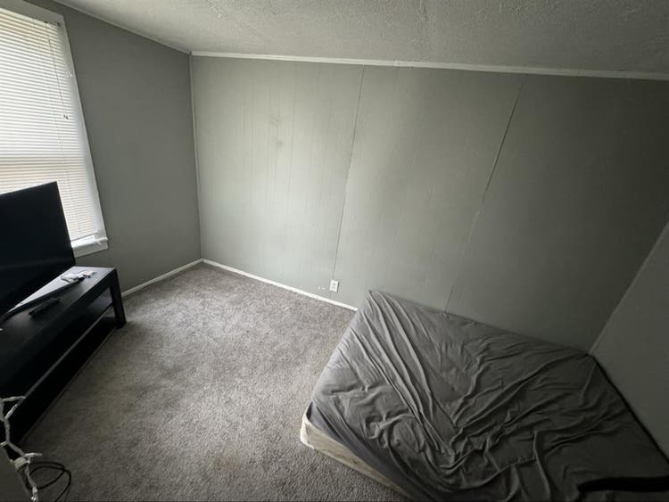 Roommate Needed