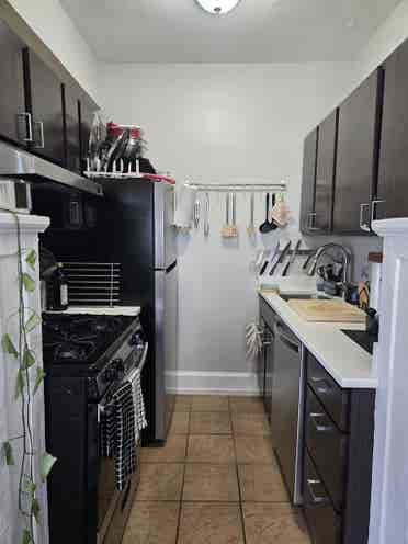 Looking for a Roommate~!