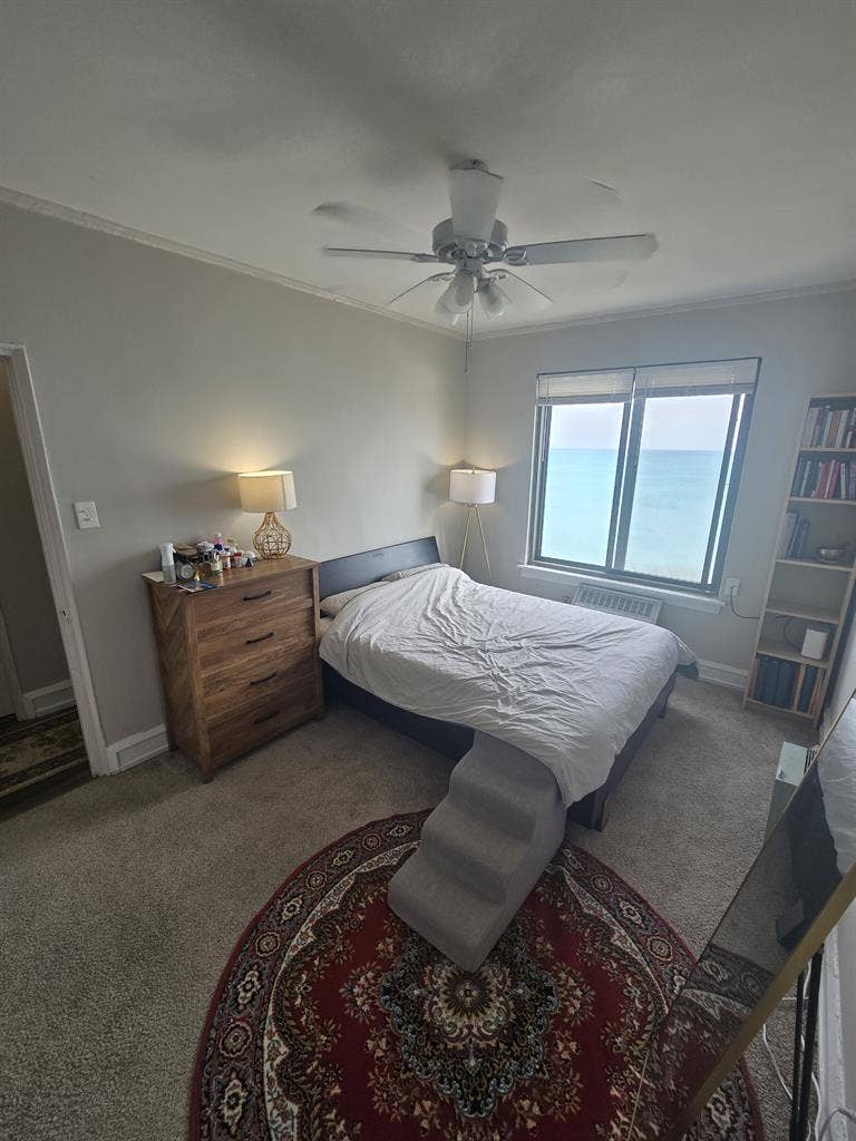 Looking for a Roommate~!