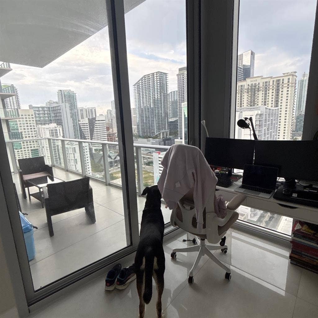 Looking for roommate