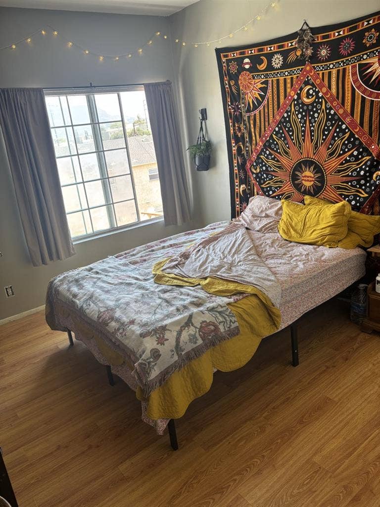 Need a roommate: private room/bath!
