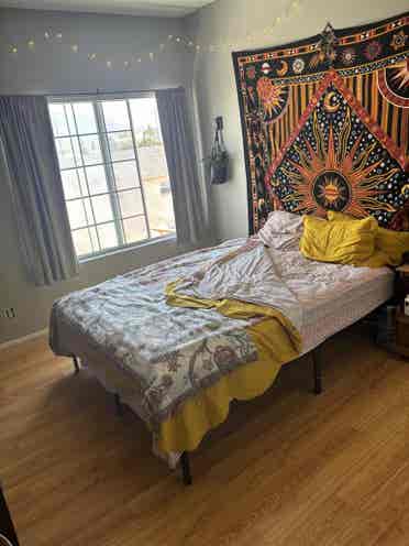 Need a roommate: private room/bath!