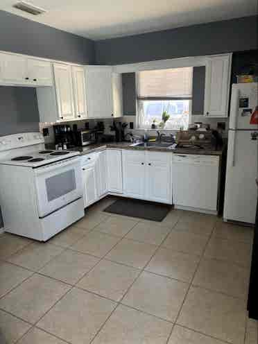 Roommate wanted