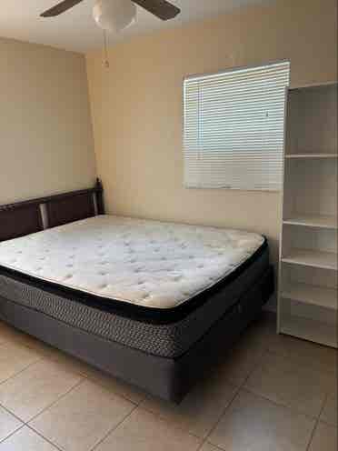 Roommate wanted