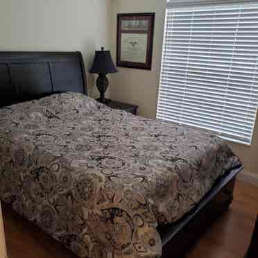 Great Room Tampa / Westchase House